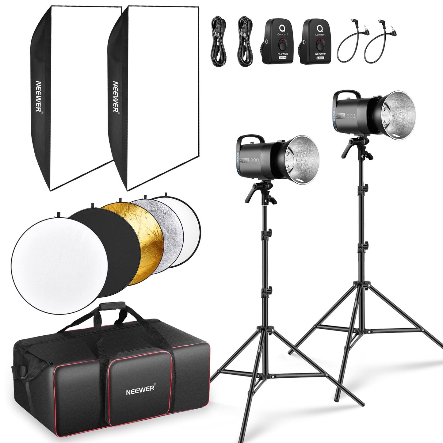 2 Pack S101-300W PRO 600Ws Studio Monolight Flash Light Kit