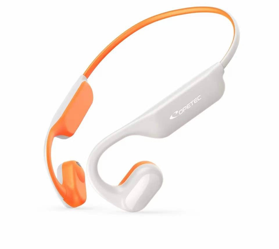 Sports Earphones